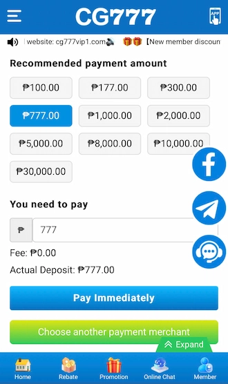 ✈Step 2: Select the payment amount recommended by the system.