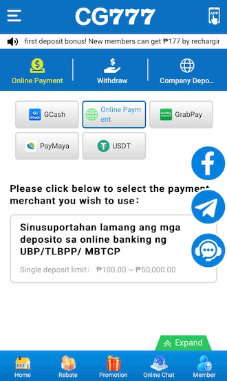 ✈Step 1: select the "Online Payment" method.