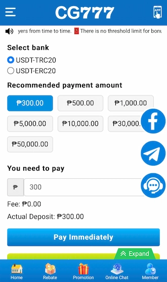 ✈Step 2: enter the payment amount.