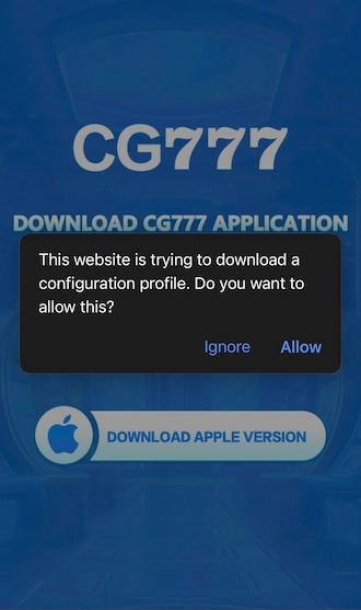 ✈Step 3: The player clicks "Allow".
