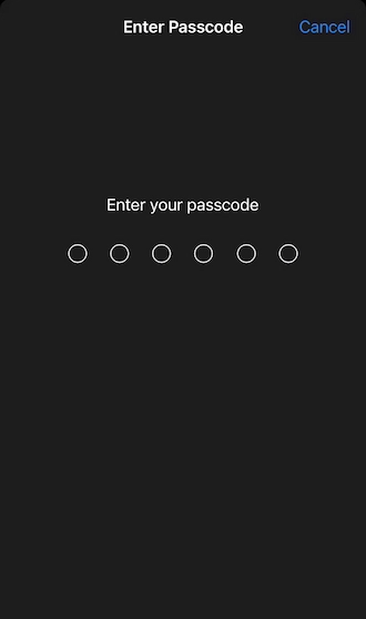 ✈Step 5: enter the correct passcode of their iPhone device.