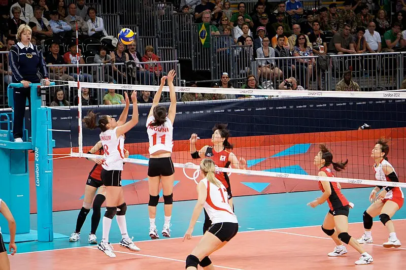Popular forms of volleyball betting