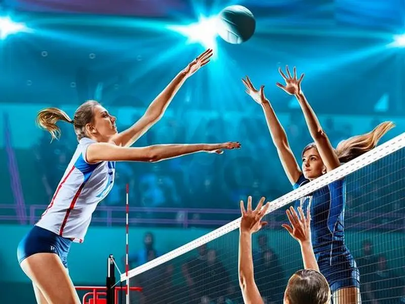 Experience in effective volleyball betting