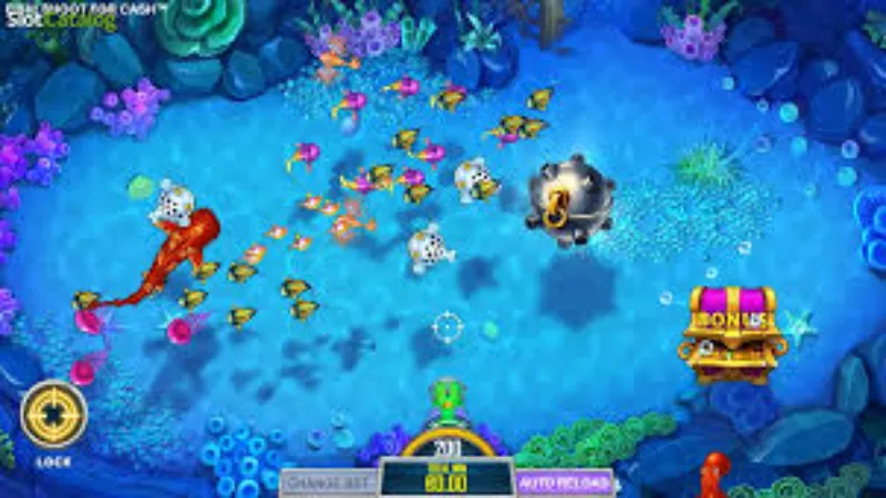 Experience playing VIP Fish Shooting from experts