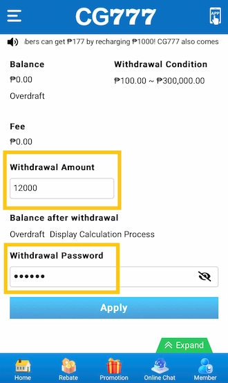 ✈Step 4: Fill in the amount and transaction password.